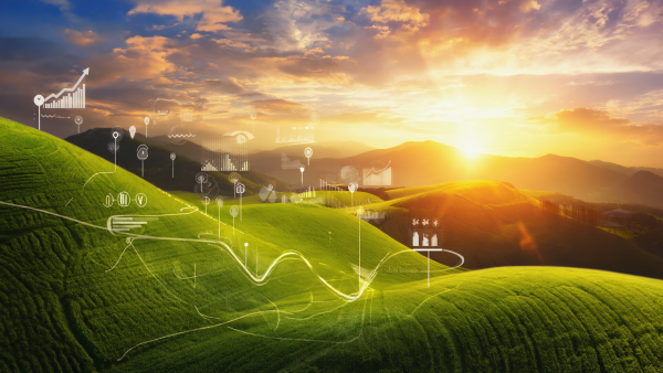Gen4 a growth strategy roadmap on top of an undulated landscape